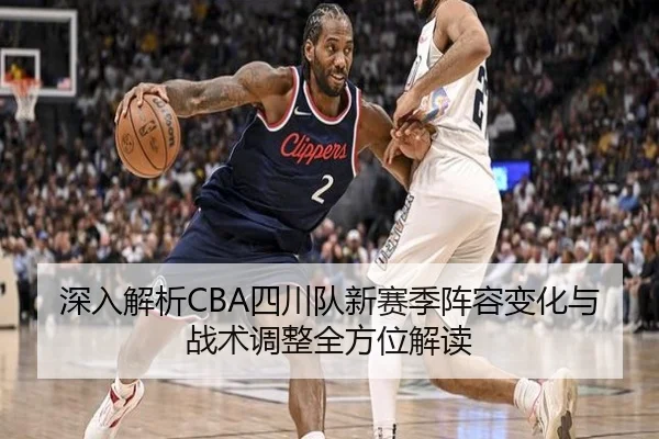 深入解析CBA四川队新赛季阵容变化与战术调整全方位解读 - HTH SPORTS